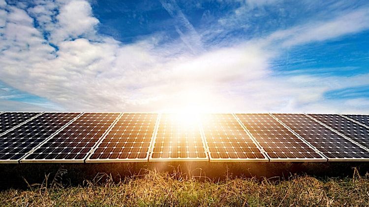 Centrale solaire XXL installée par TotalEnergies dans les Landes